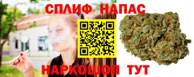 jwh Апшеронск