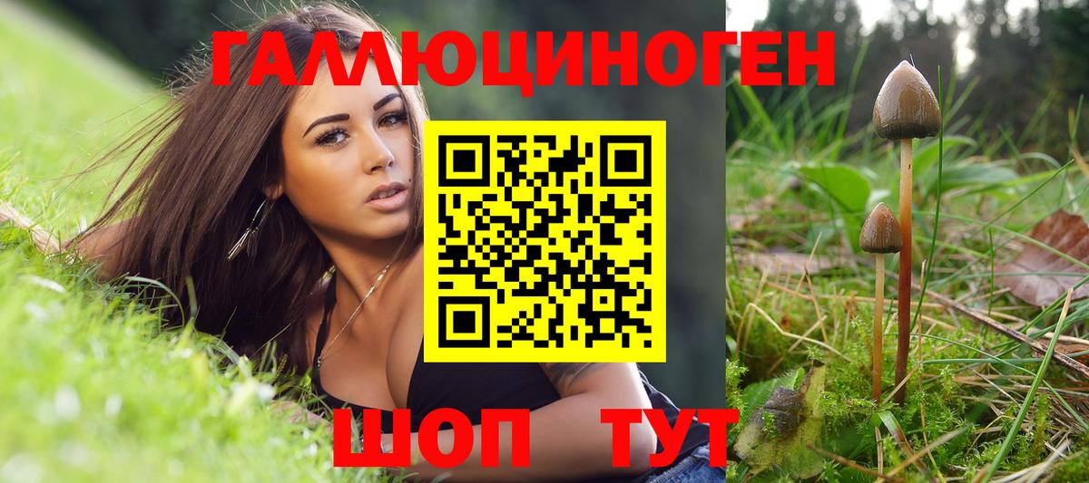 где найти наркотики  Галлюциногенные грибы мухоморы  Вход с VPN  Гурьевск 