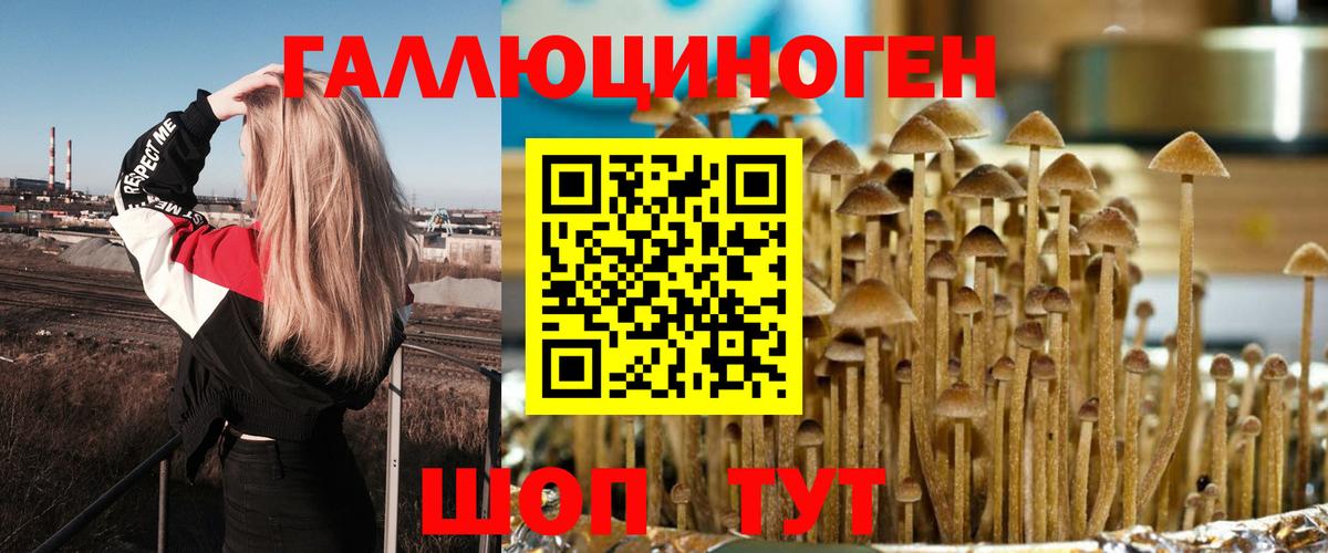 Галлюциногенные грибы мухоморы Гурьевск